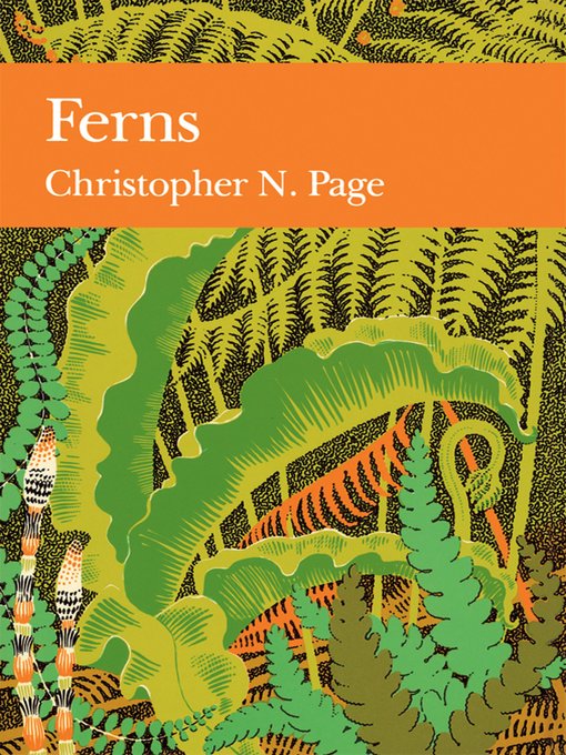 Cover image for Ferns